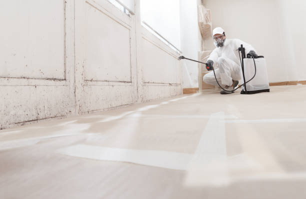 24/7 Emergency Mold Remediation experts in Bryn Mawr, PA